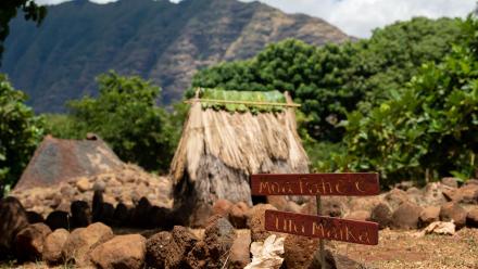 O’ahu Mango Haʻa Keaulana: asset-mezzanine-16x9